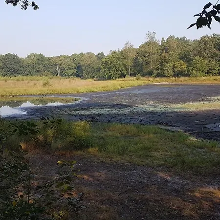 De Heidestroper Couette-café 4*