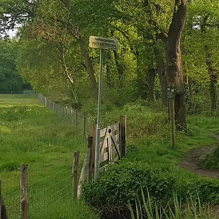 De Heidestroper 4* Эйндховен