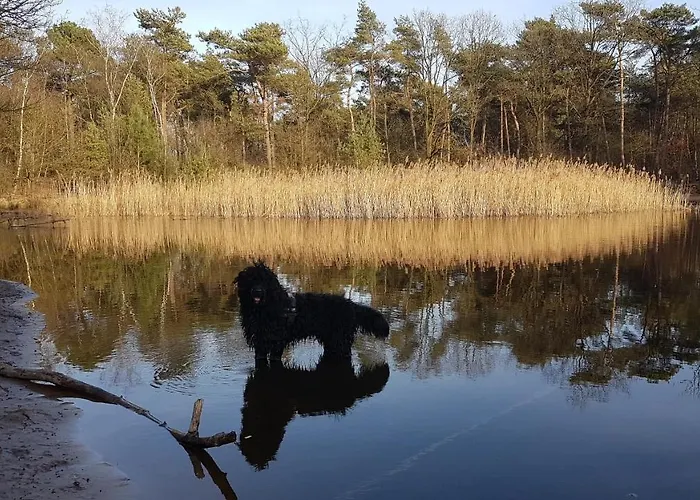 Oda ve Kahvaltı De Heidestroper Eindhoven