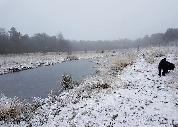 Oda ve Kahvaltı De Heidestroper Eindhoven