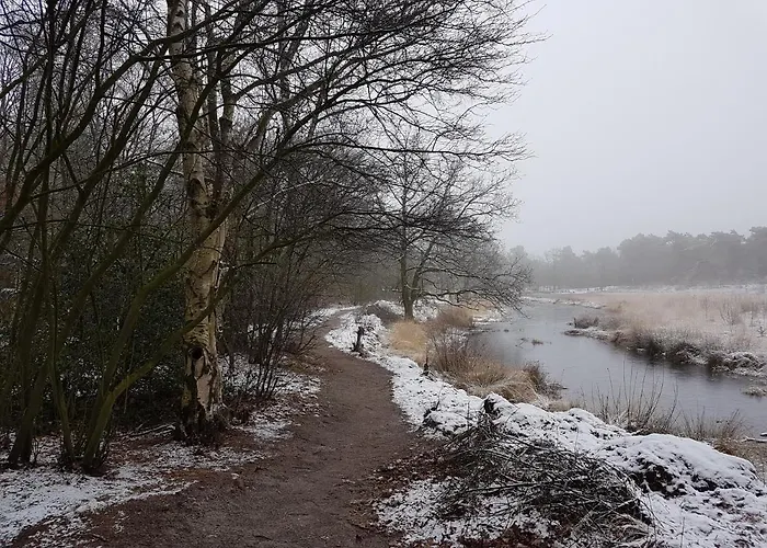 Couette-café De Heidestroper 4*