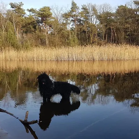 Nocleg ze śniadaniem De Heidestroper Eindhoven