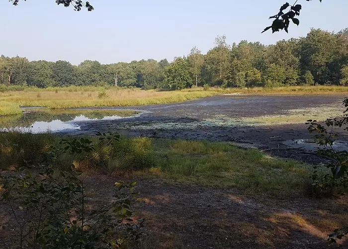 De Heidestroper Bed & Breakfast 4*