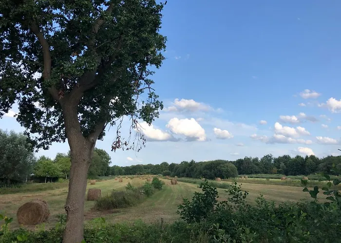 Bed & Breakfast De Heidestroper